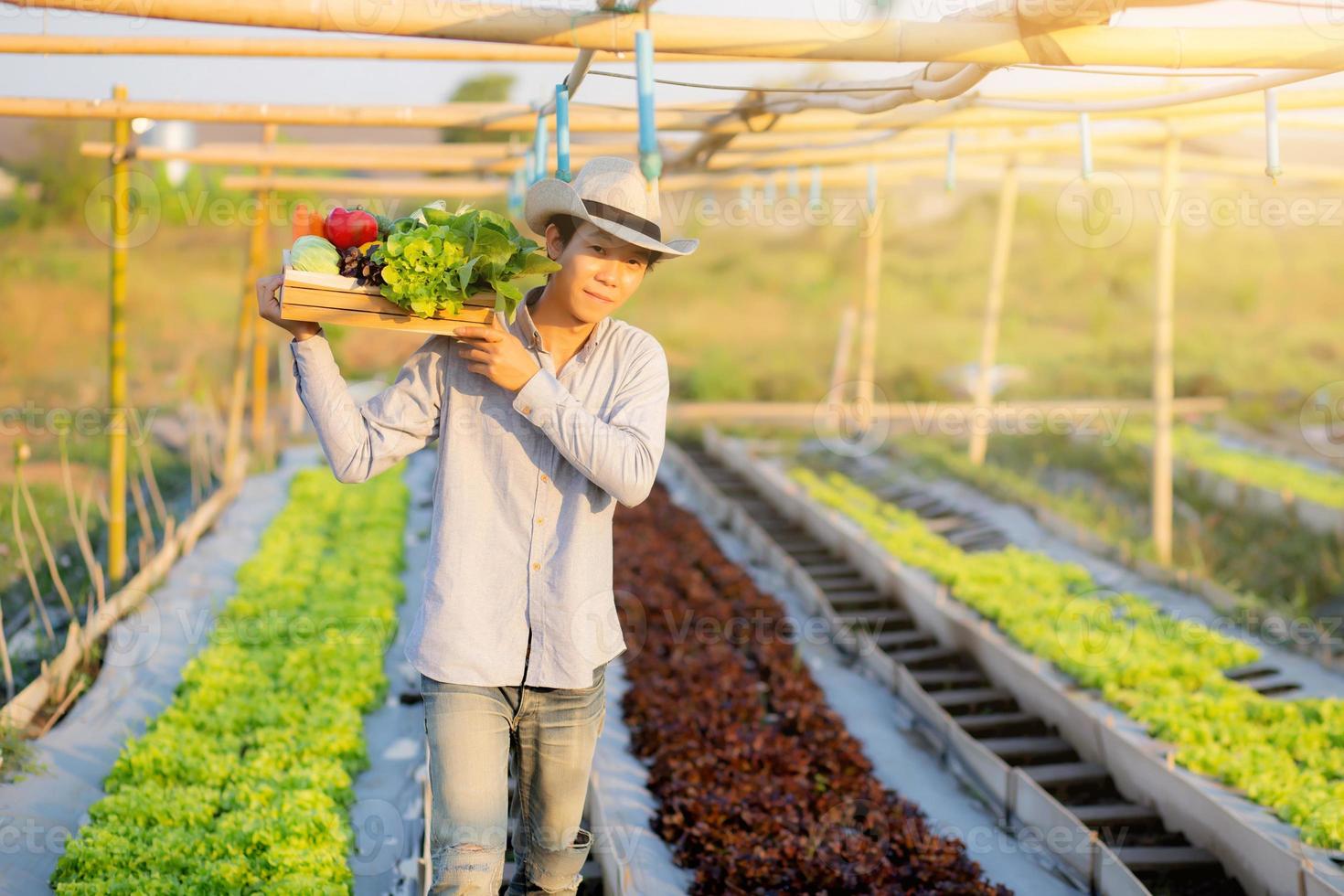 retrato jovem asiático caminhando colheita e pegando horta orgânica fresca na cesta na fazenda hidropônica, agricultura e cultivo para alimentação saudável e conceito de negócios. foto