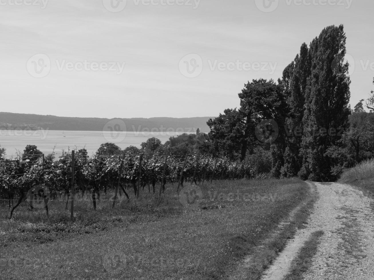 o lago de constância na alemanha foto