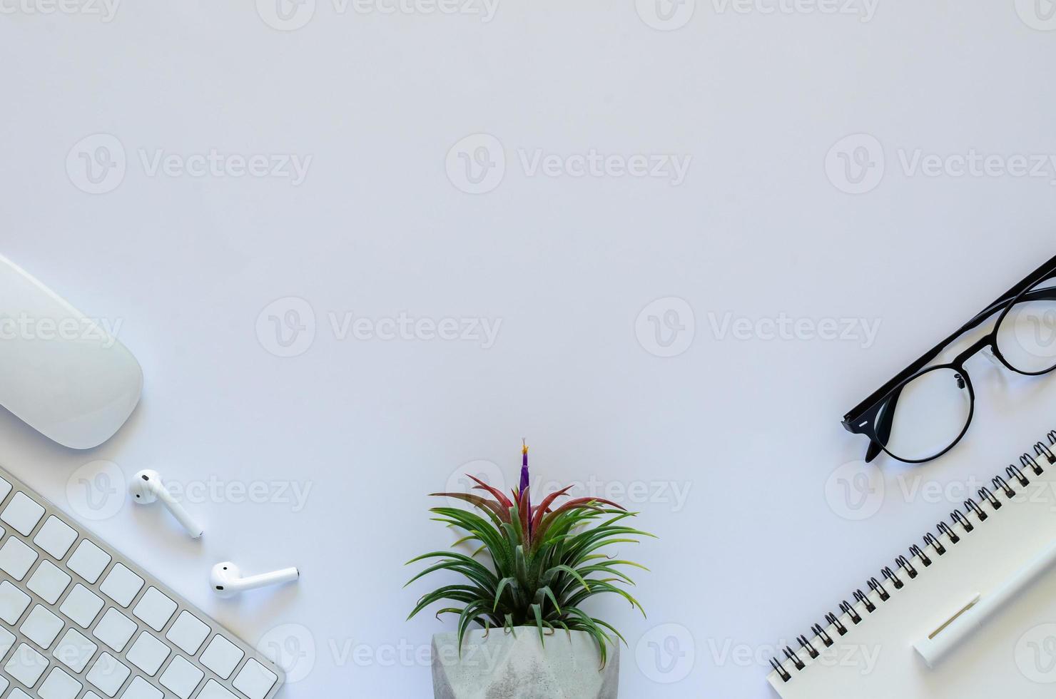 fundo do conceito de espaço de trabalho com planta aérea tillandsia, mouse, teclado, fone de ouvido, notebook, caneta e óculos em fundo branco. foto