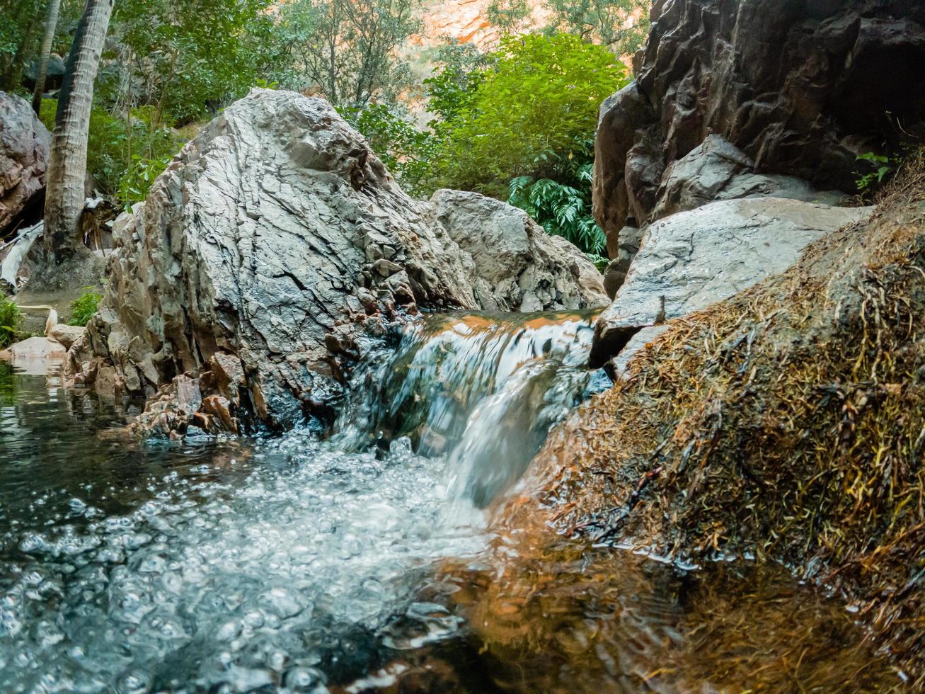 imagens de zebedee springs wa austrália foto