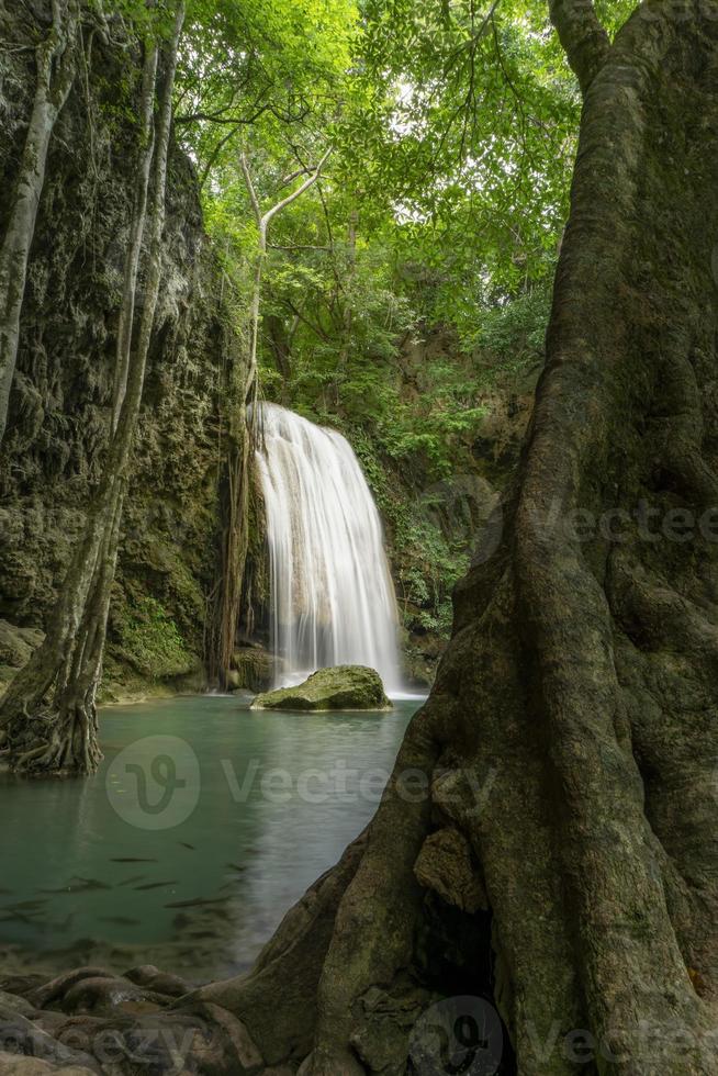 água verde esmeralda limpa da cachoeira cercada por pequenas árvores - árvores grandes, cor verde, cachoeira erawan, província de kanchanaburi, tailândia foto