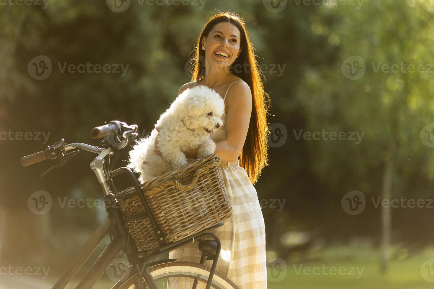 jovem mulher com cachorro branco bichon frise na cesta de bicicleta elétrica foto