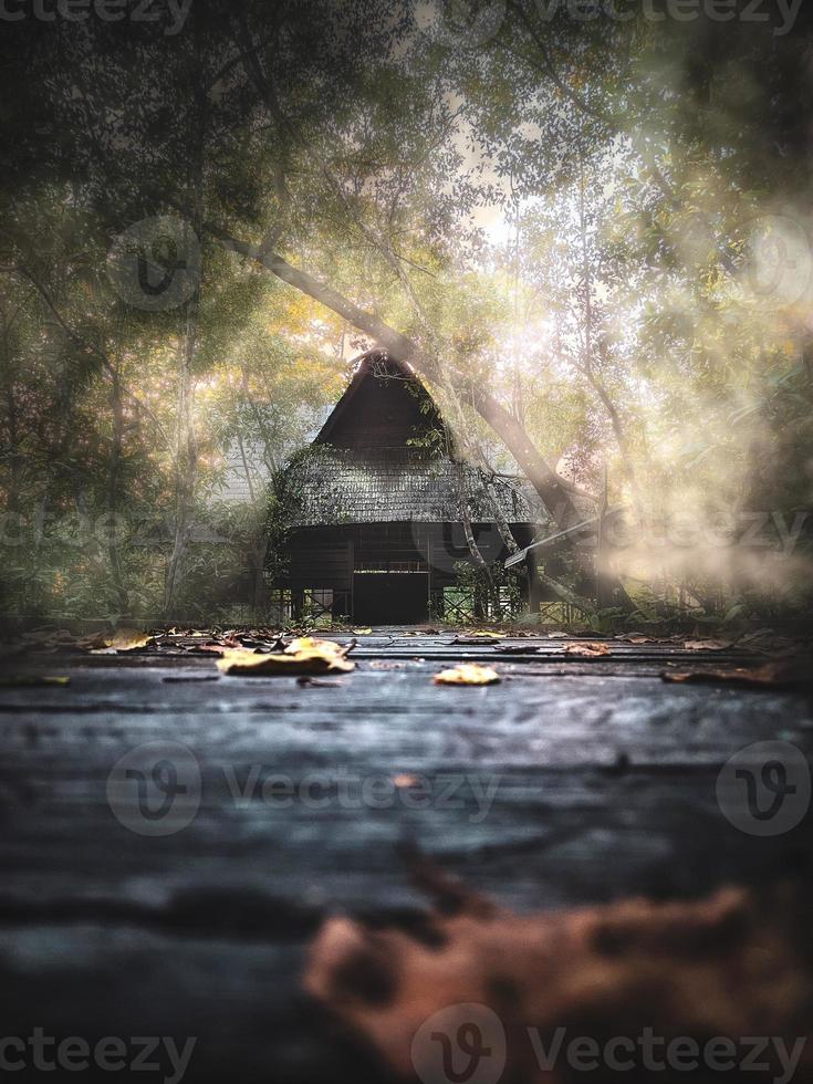 cabana na floresta de mangue foto