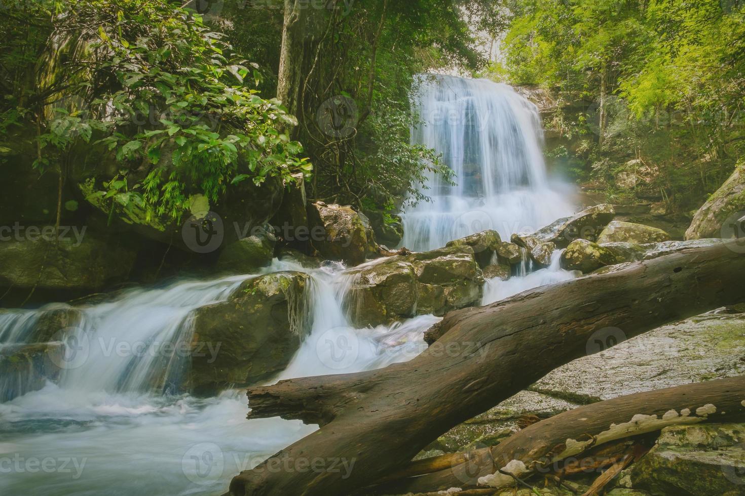 bela cachoeira na floresta tropical foto