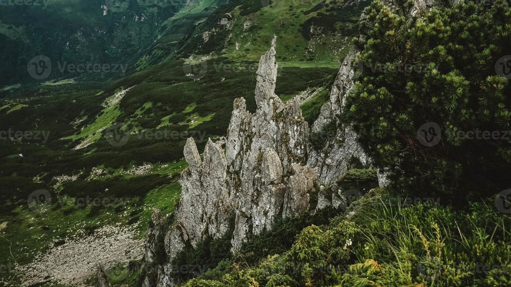 bela paisagem montanhosa dos cárpatos, montanhas verdes e falésias shpytsi foto