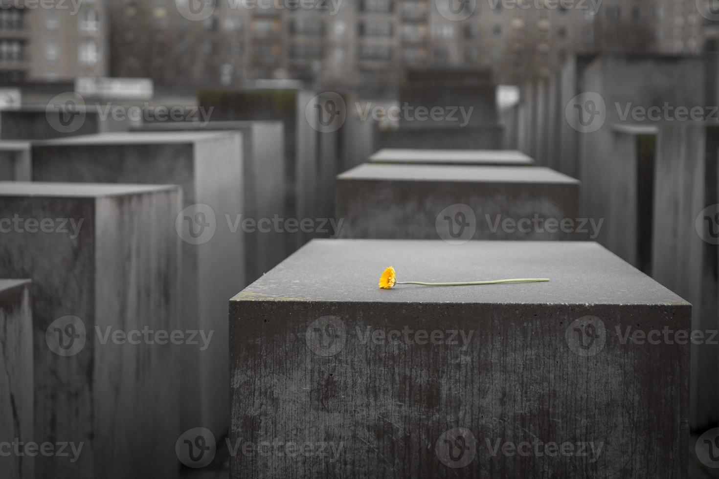 flor em memorial aos judeus assassinados da europa em berlim, alemanha foto