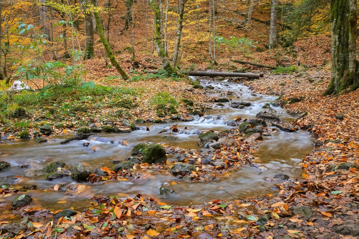 vapor no parque nacional yedigoller, turquia foto