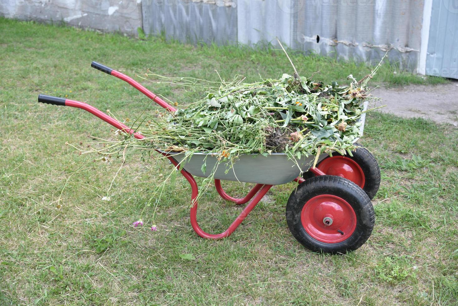 carrinho de ferro de jardim com grama no jardim foto
