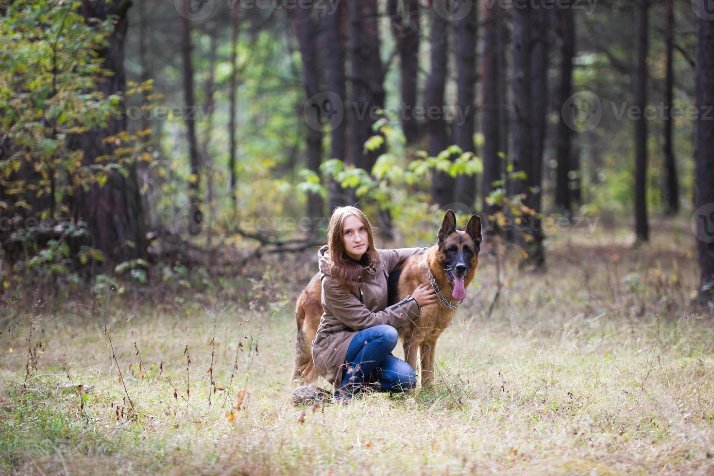 jovem mulher atraente posando com cão pastor alemão ao ar livre no parque outono foto