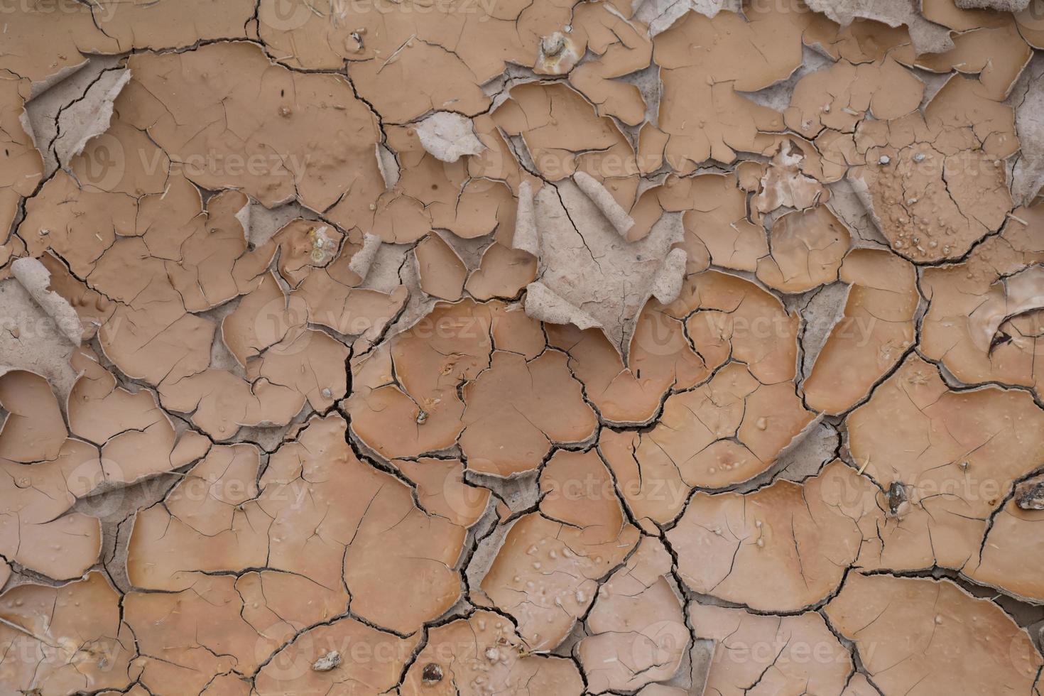 seca e temporada de verão, paisagem quente. feche a imagem de terra seca rachada. foto