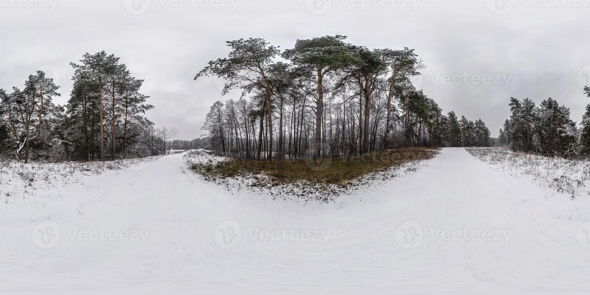 panorama hdri esférico completo de inverno estrada de visão de ângulo de 360 graus em uma floresta de pinheiros nevado com céu cinza pálido em projeção equirretangular. conteúdo vr foto