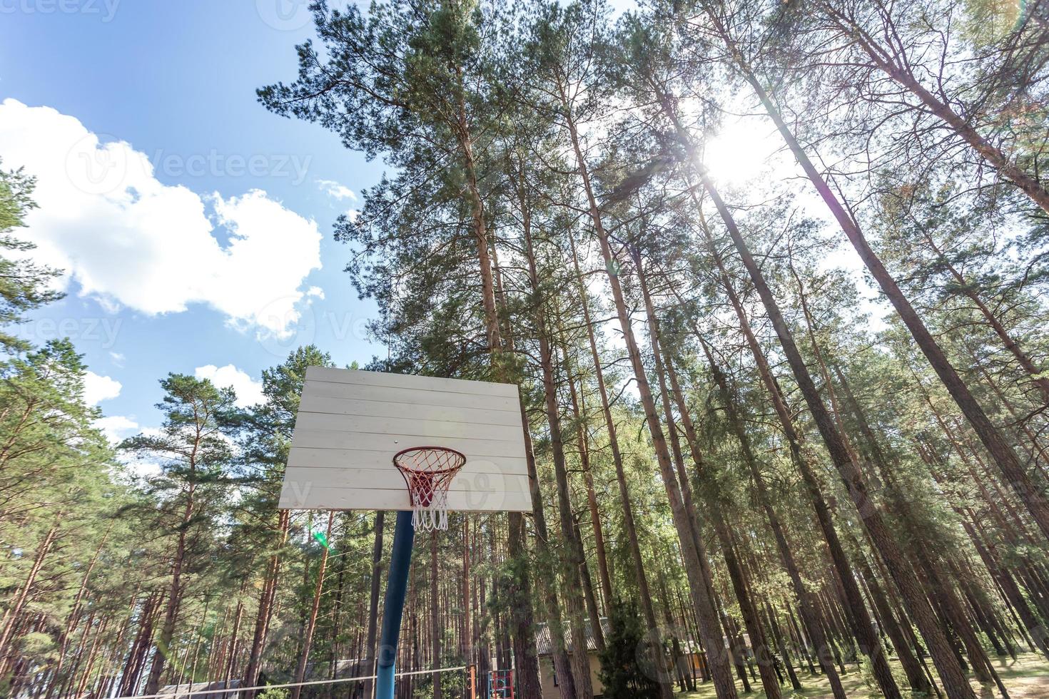 balanço e barras horizontais no playground e quadra de basquete na floresta de pinheiros foto