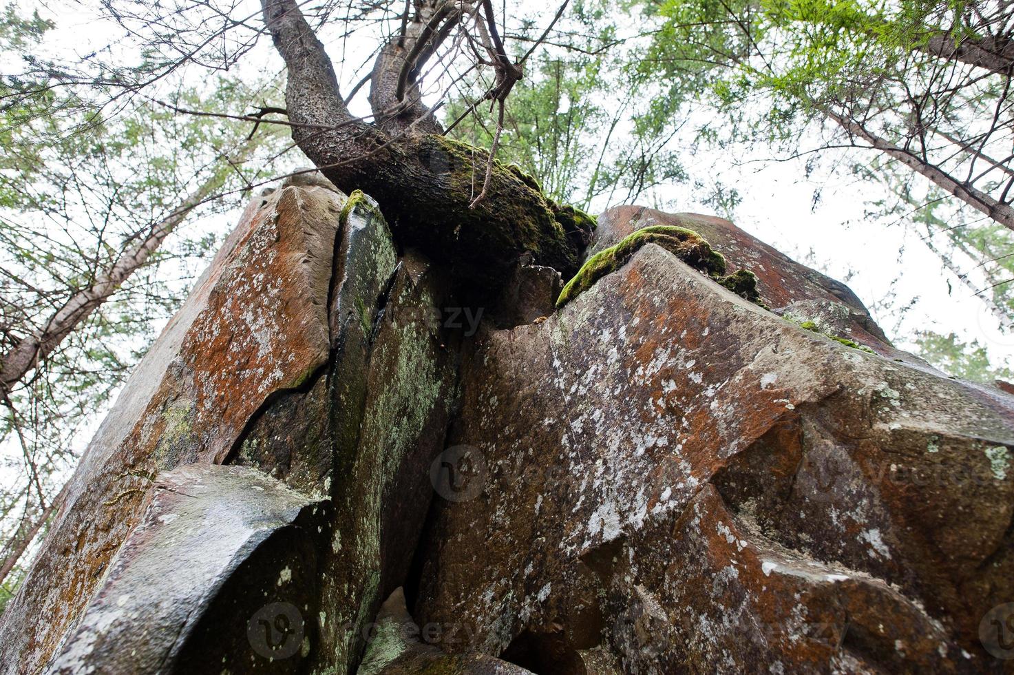 dovbush rochas na floresta verde nas montanhas dos cárpatos. foto