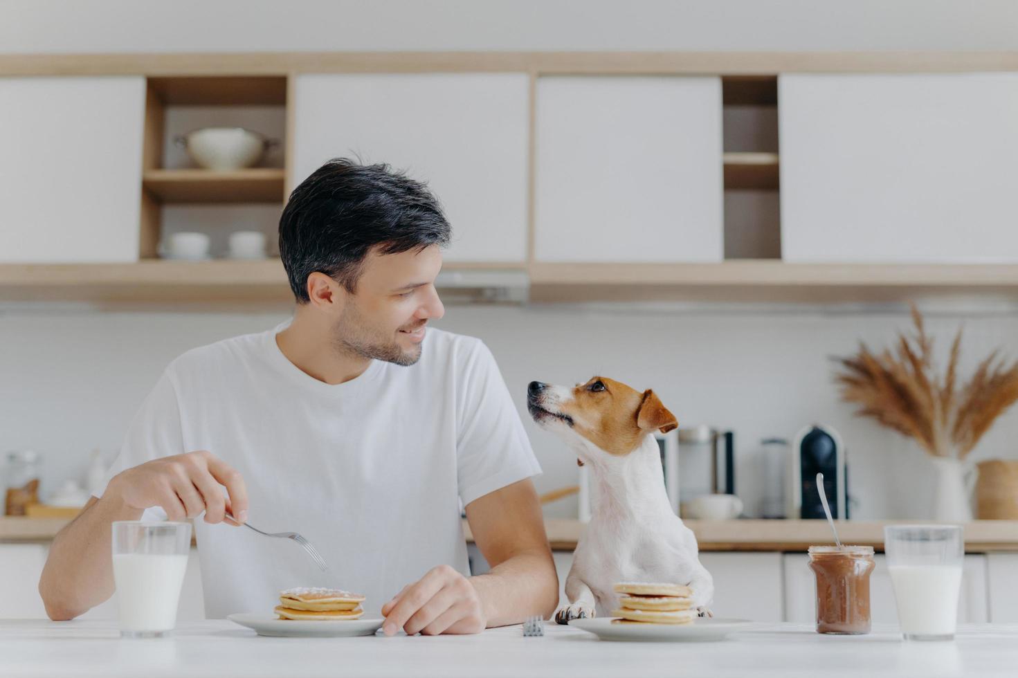 macho moreno bonito olha com prazer para seu animal de estimação, tem sobremesa doce no café da manhã, gosta de fim de semana tem um bom relacionamento com a pose de animal de estimação no interior da cozinha no apartamento moderno. pessoas, nutrição, animais foto