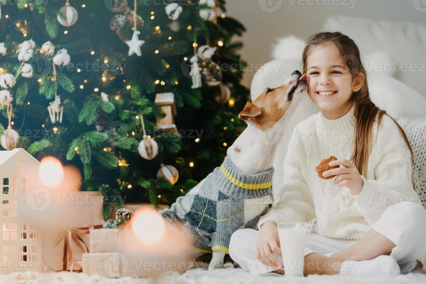 adorável criança feliz bebe leite e come biscoitos, tem um tempo maravilhoso junto com o cachorro favorito, recebe beijo do animal de estimação, sente-se perto da árvore de natal decorada, tem clima festivo. feriado de inverno foto