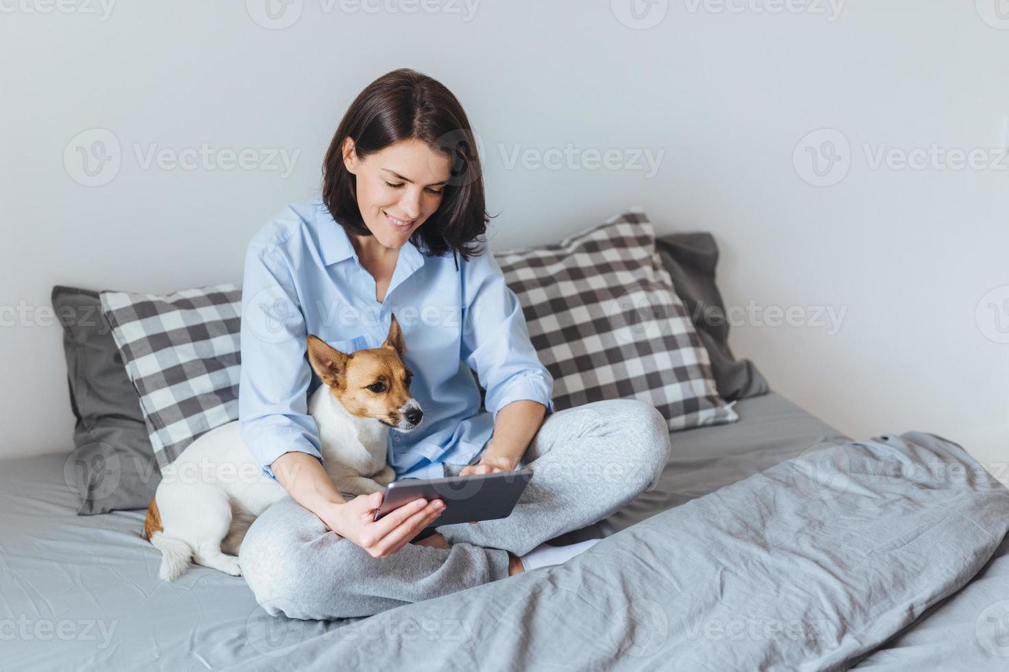 atmosfera acolhedora doméstica. linda modelo feminina usa pijama, senta-se na roupa de cama no quarto com seu animal de estimação favorito, mensagens com frineds via computador tablet, desfruta de conexão gratuita à internet foto