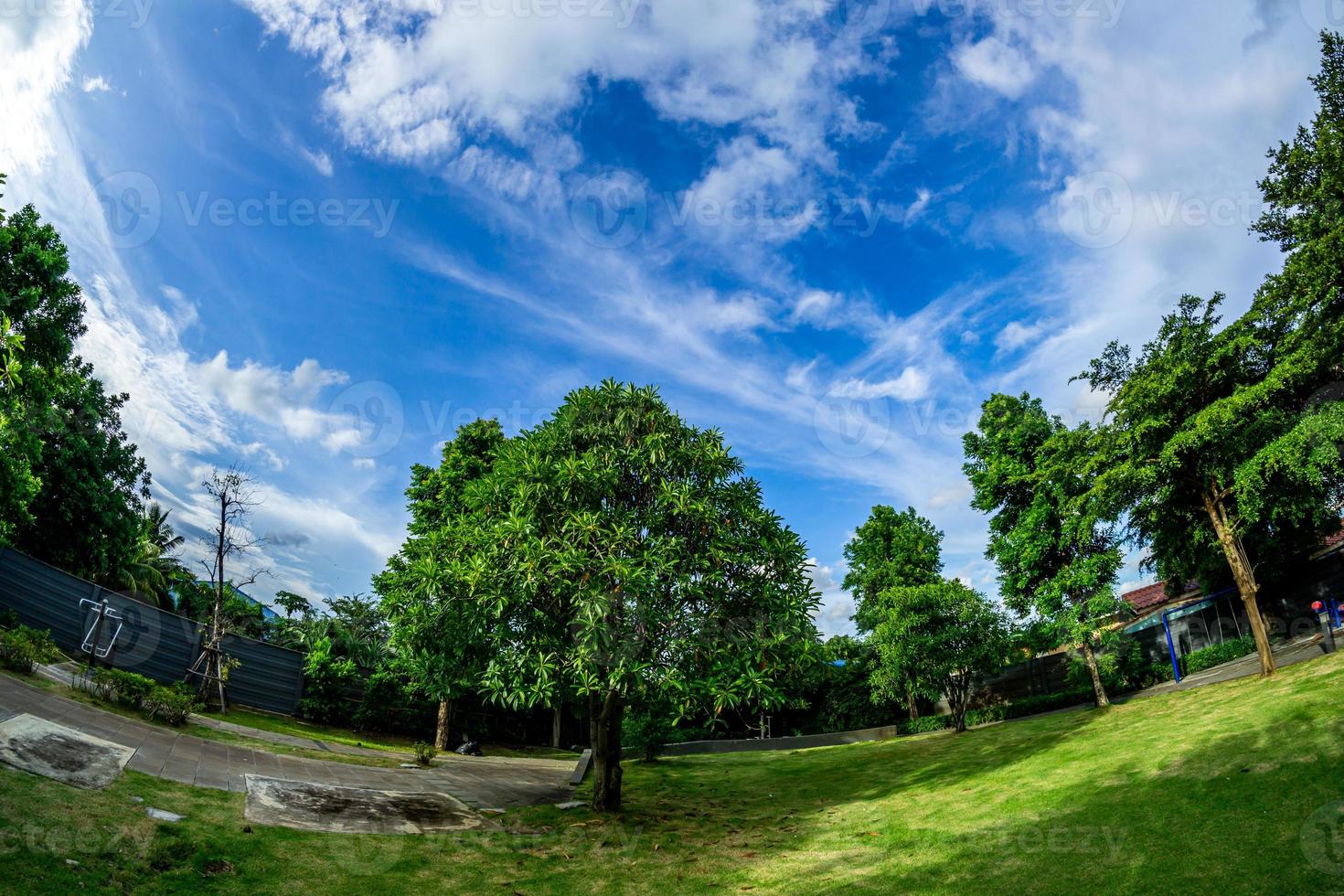 belas nuvens no jardim foto