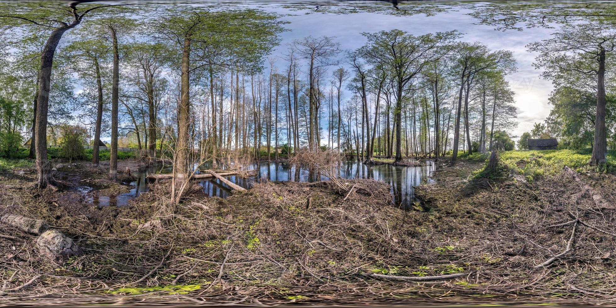 panorama hdri esférico completo sem costura visão de ângulo de 360 graus entre árvores altas floresta na água do pântano em projeção equirretangular, conteúdo de realidade virtual vr ar pronto foto