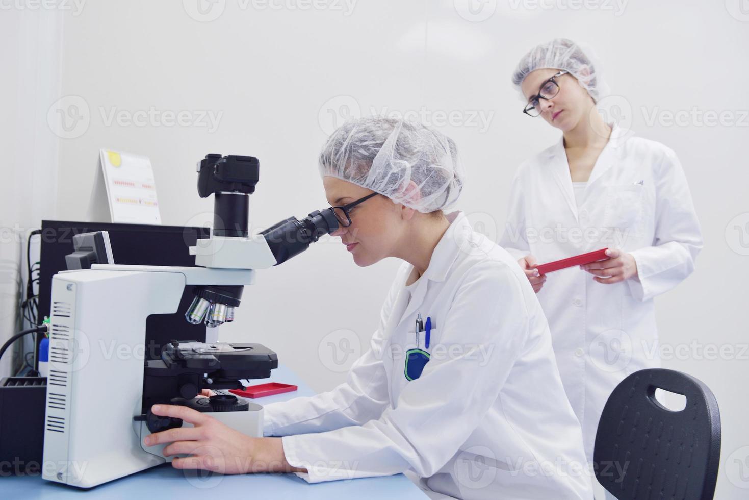 cientistas que trabalham no laboratório foto