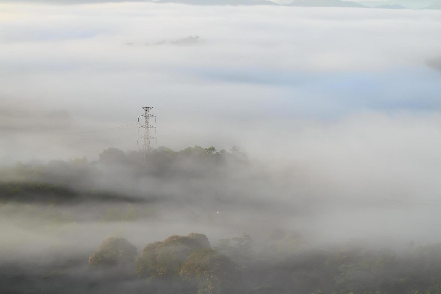 linhas de energia elétrica e postes emergindo da névoa foto