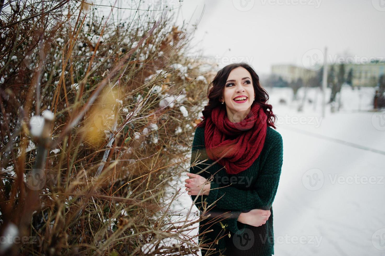 menina morena de suéter verde e lenço vermelho ao ar livre contra arbustos no dia de inverno à noite. foto