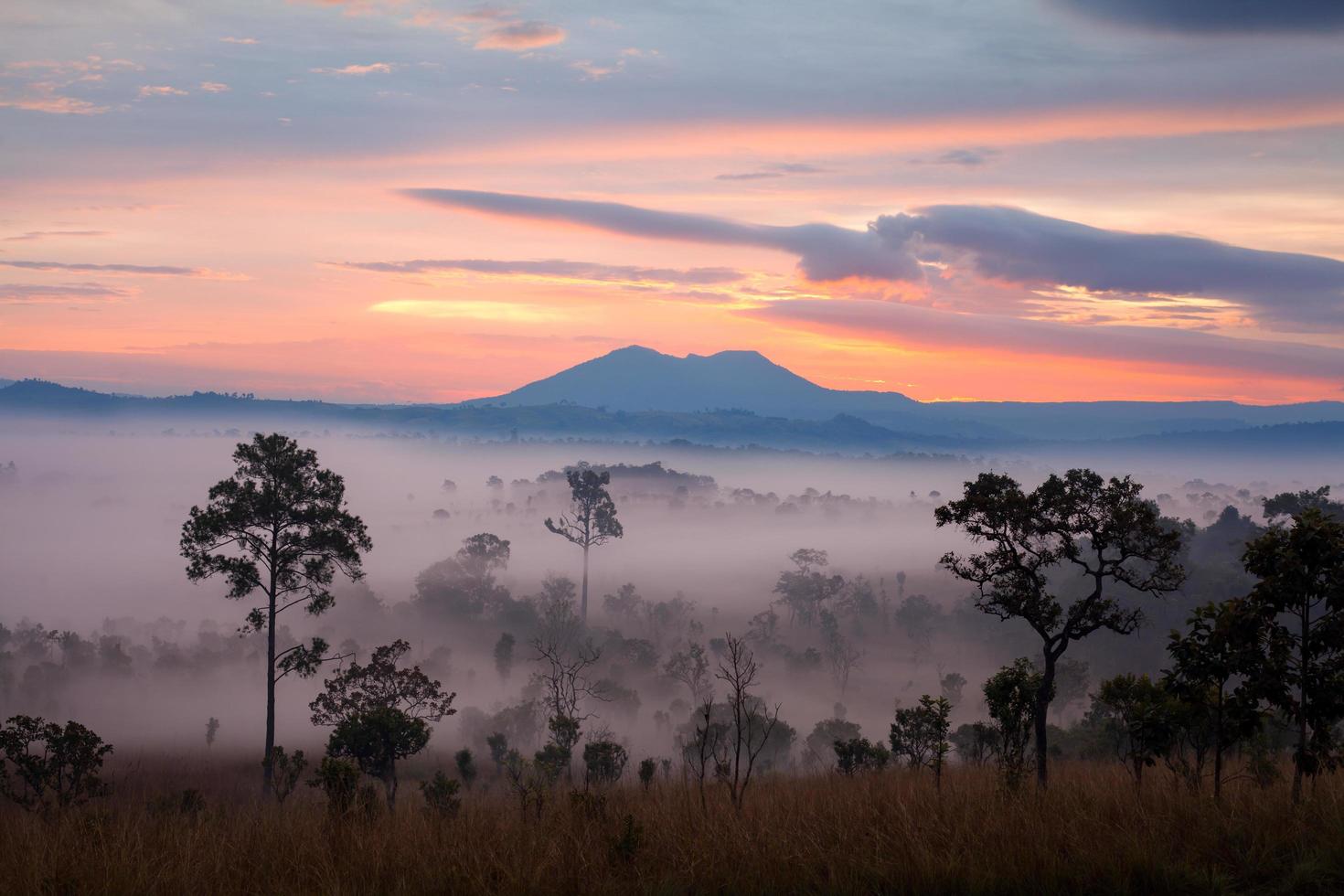 amanhecer enevoado no parque nacional thung salang luang phetchabun, tung slang luang é savana de pastagem na tailândia. foto