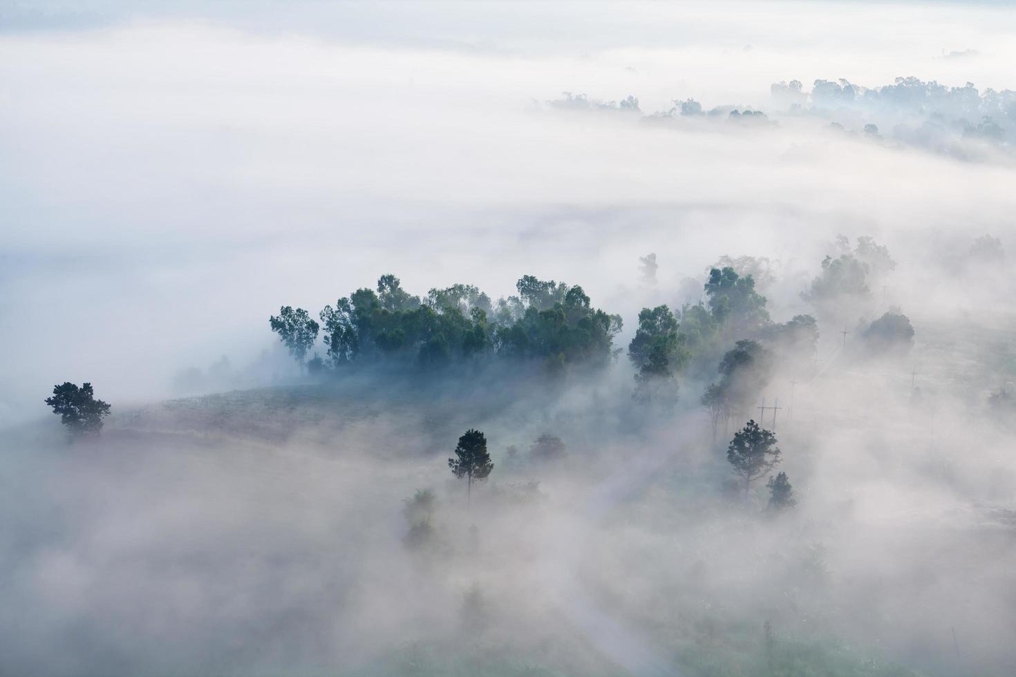 nevoeiro no nascer do sol da manhã no ponto de vista khao takhian ngo em khao-kho phetchabun, tailândia foto