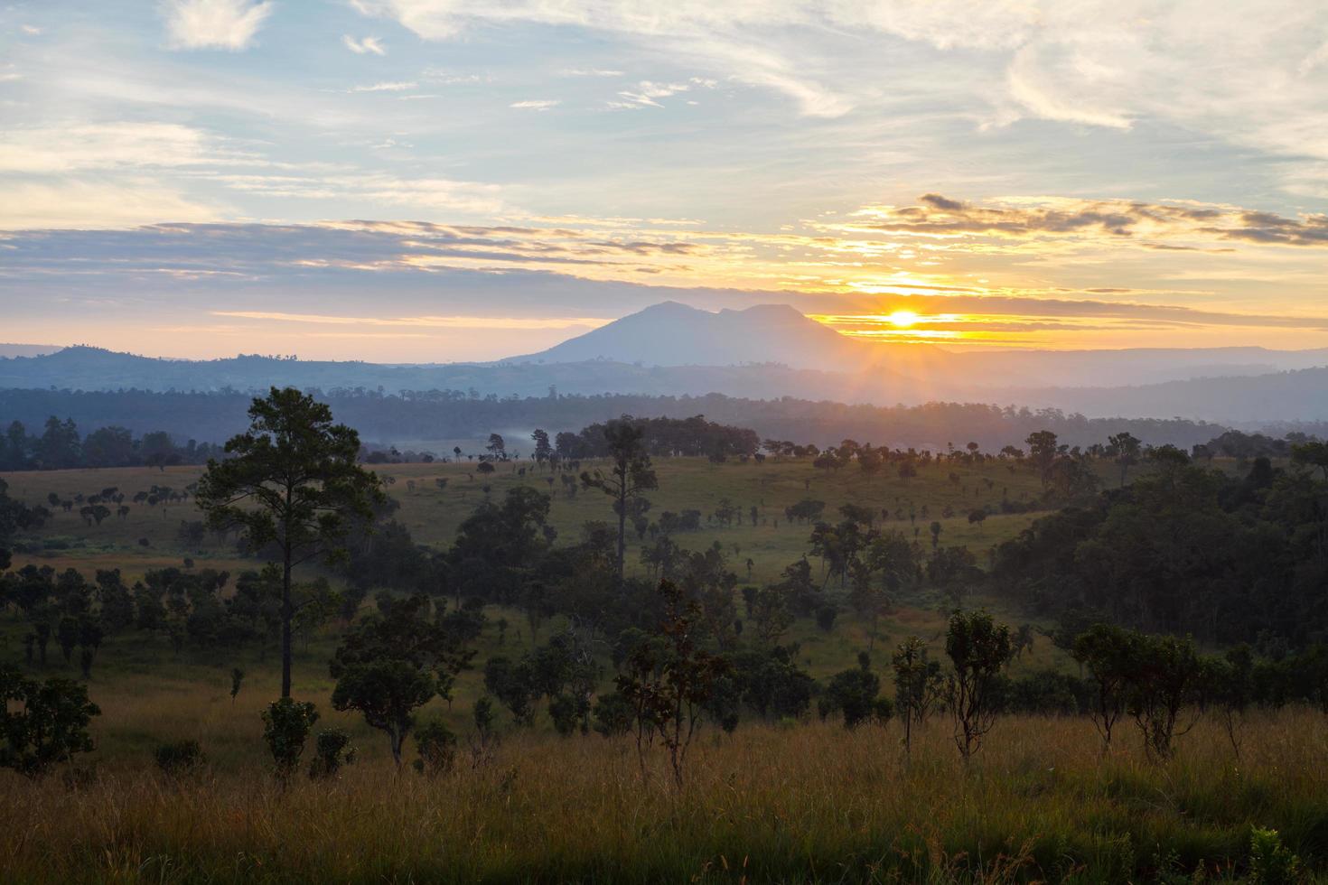 amanhecer enevoado no parque nacional thung salang luang phetchabun, tung slang luang é savana de pastagem na tailândia. foto