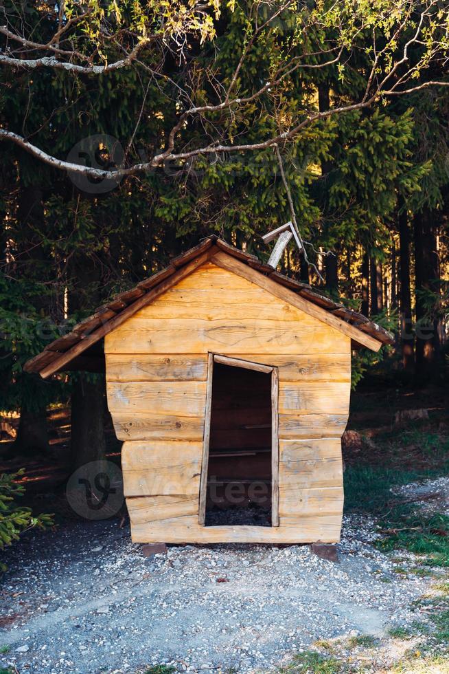 pequena cabana de madeira na floresta foto