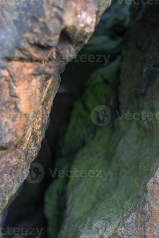 fenda entre rochas cobertas de verde foto