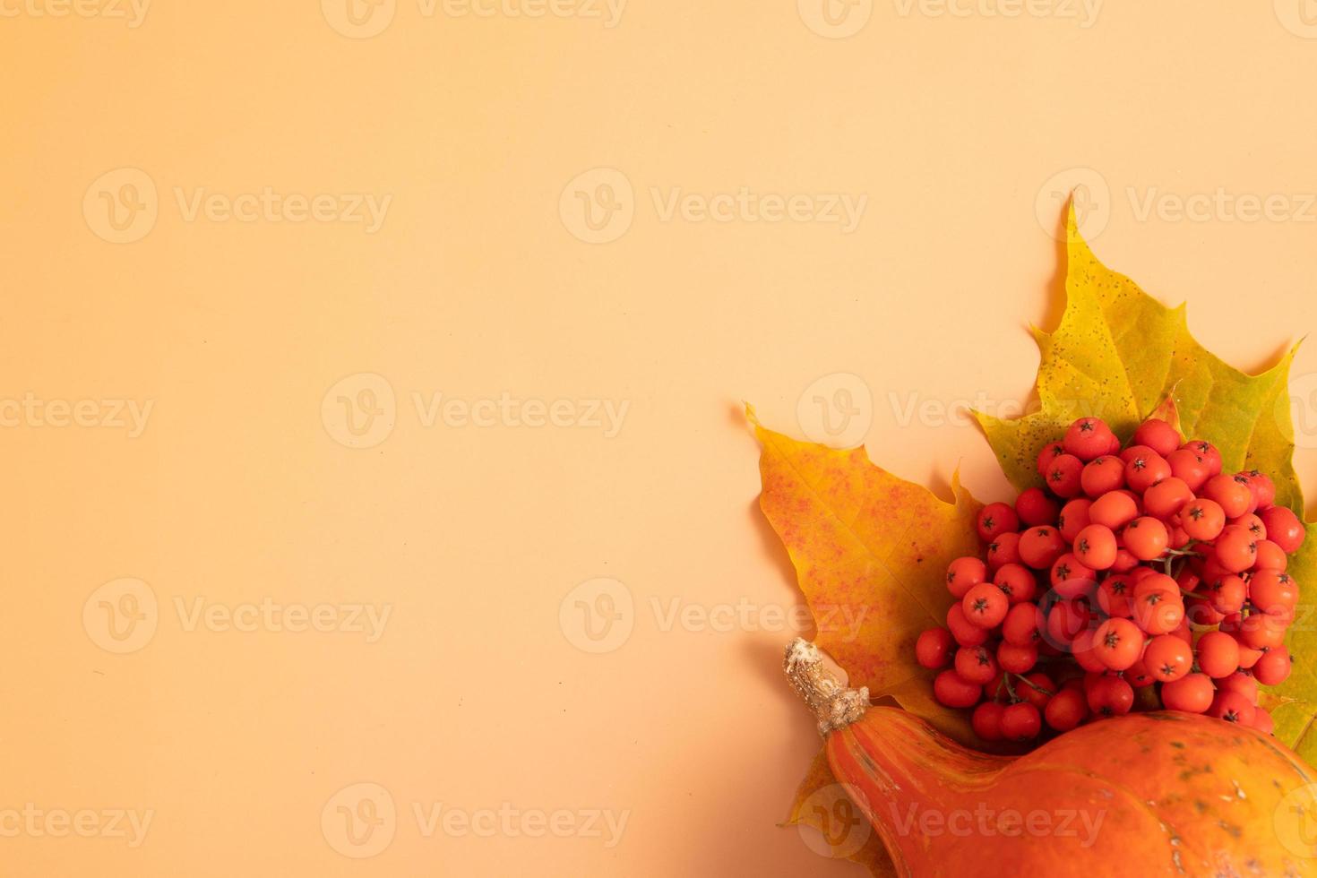 composição de outono. folhas secas, abóboras e bagas de rowan em fundo laranja. outono, outono, conceito de dia de ação de graças. configuração plana, vista superior, espaço de cópia foto