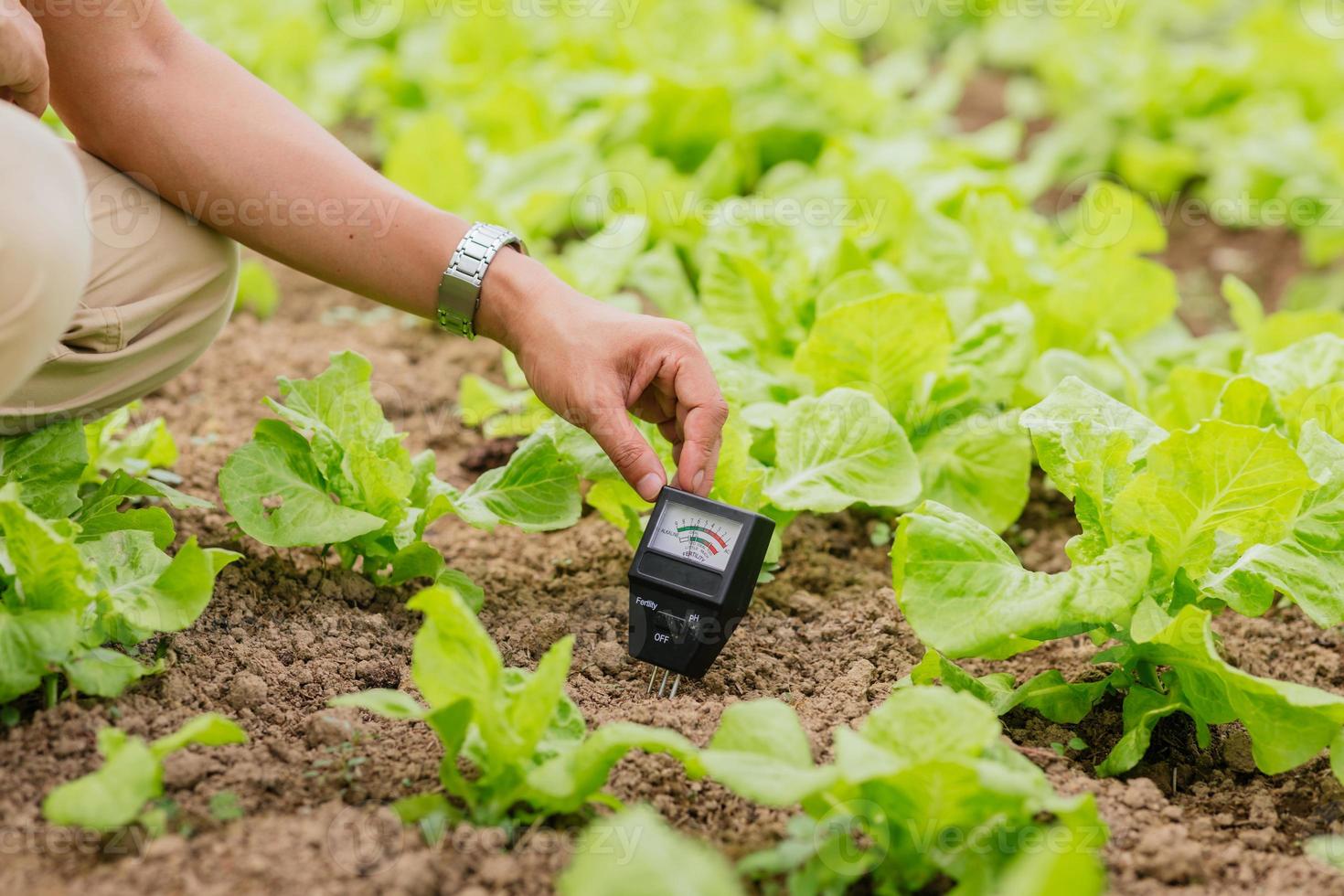 close-up do agricultor de mão usa o medidor de ph do solo para verificar o valor do ph da fazenda de viveiro de plantas orgânicas. conceito de tecnologia agrícola. foto