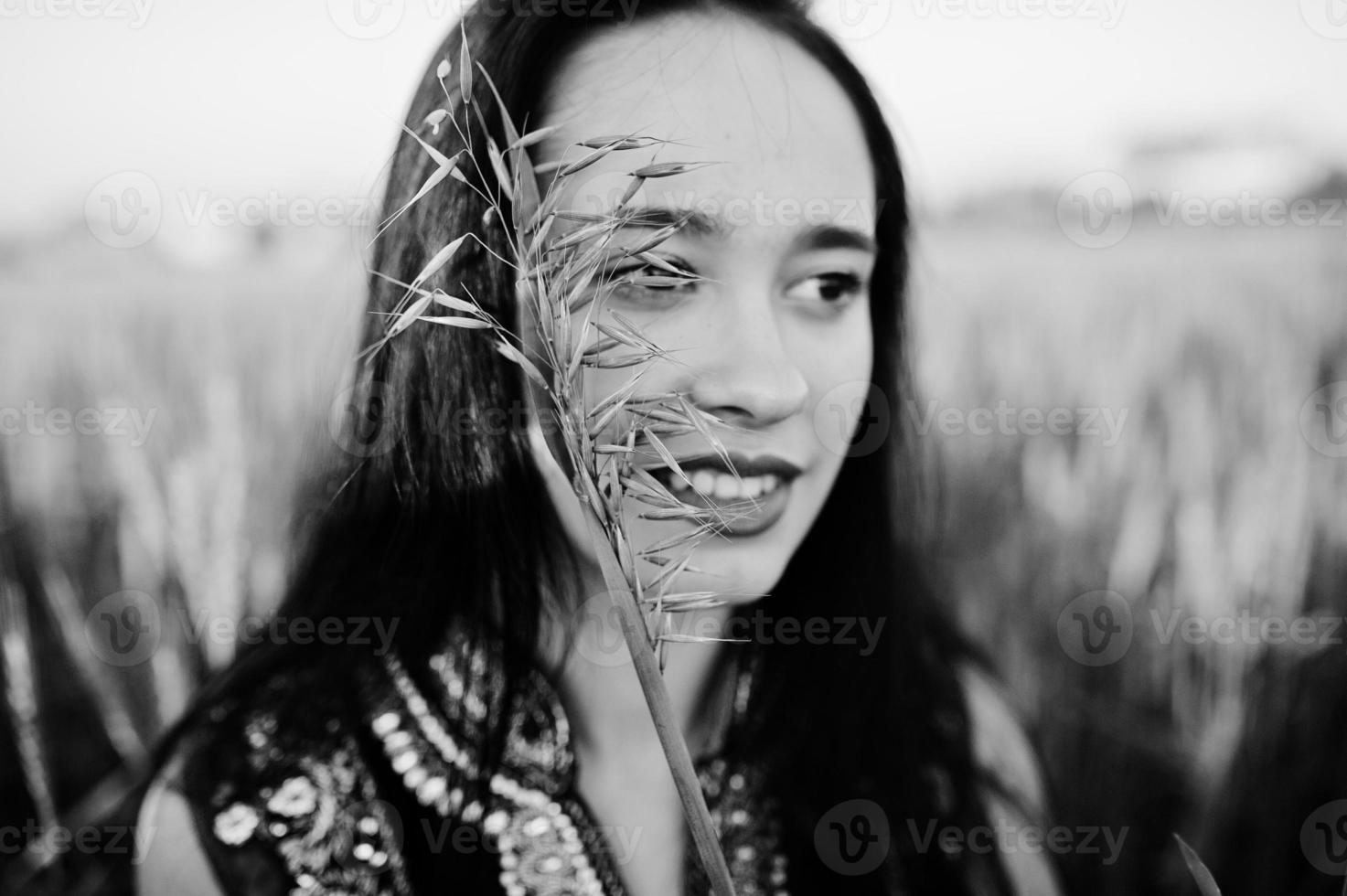 tenra garota indiana em saree, com lábios violeta compõem posou no campo no pôr do sol. modelo elegante da índia. foto