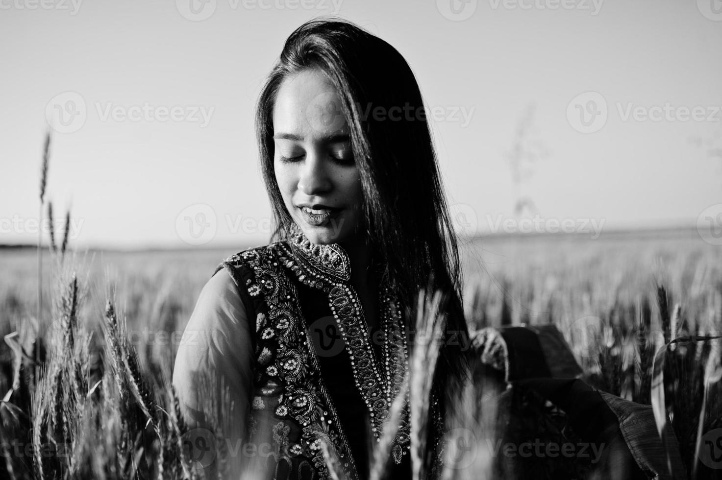 tenra garota indiana em saree, com lábios violeta compõem posou no campo no pôr do sol. modelo elegante da índia. foto