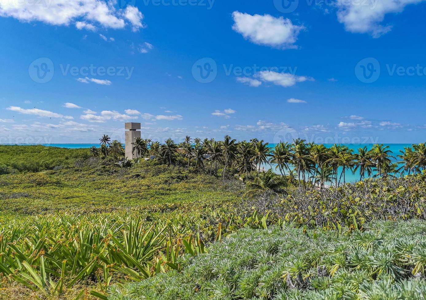 bela praia natural tropical e floresta panorama contoy ilha méxico. foto