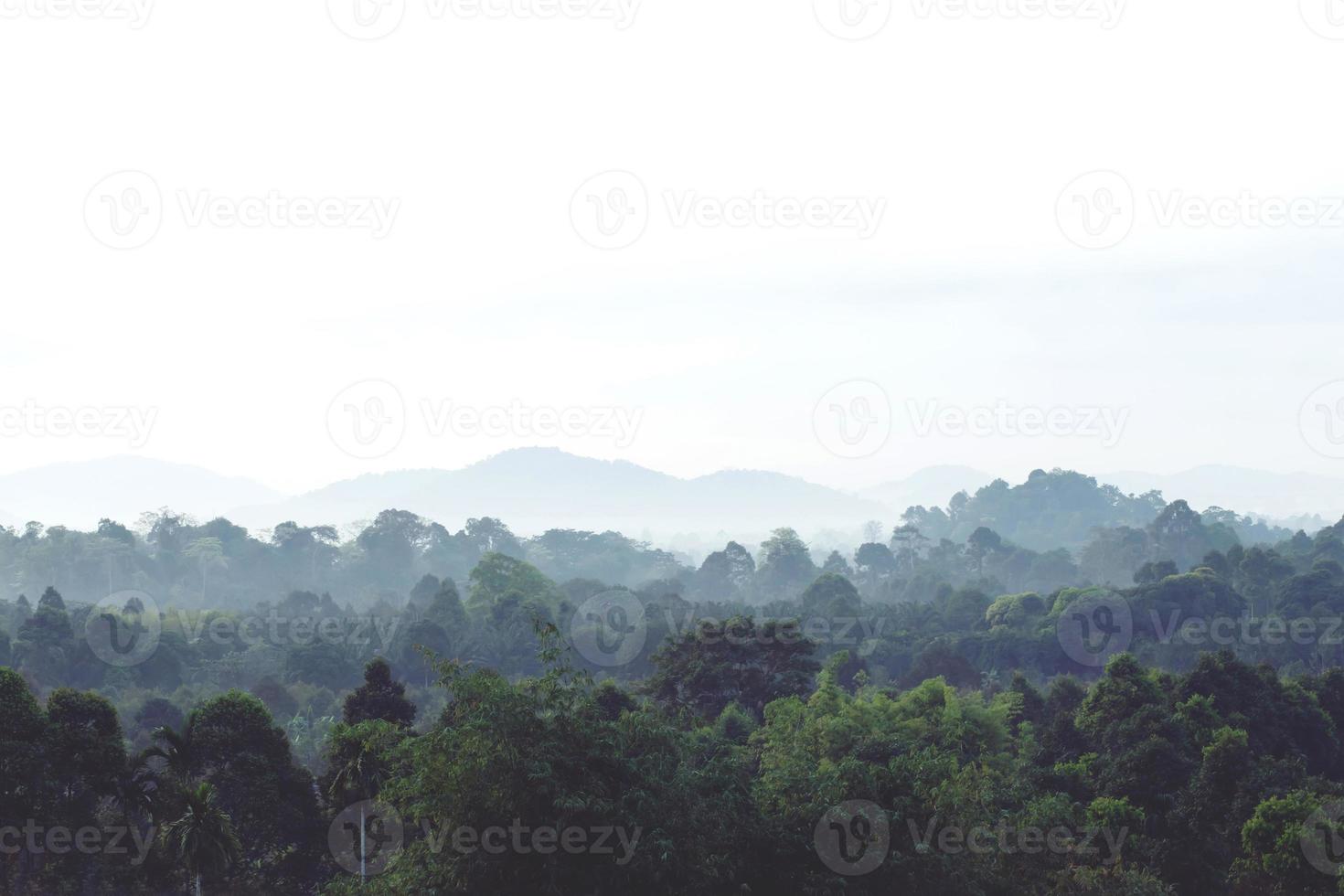 paisagem floresta na atmosfera clima frio a névoa do inverno cobriu a montanha. foto