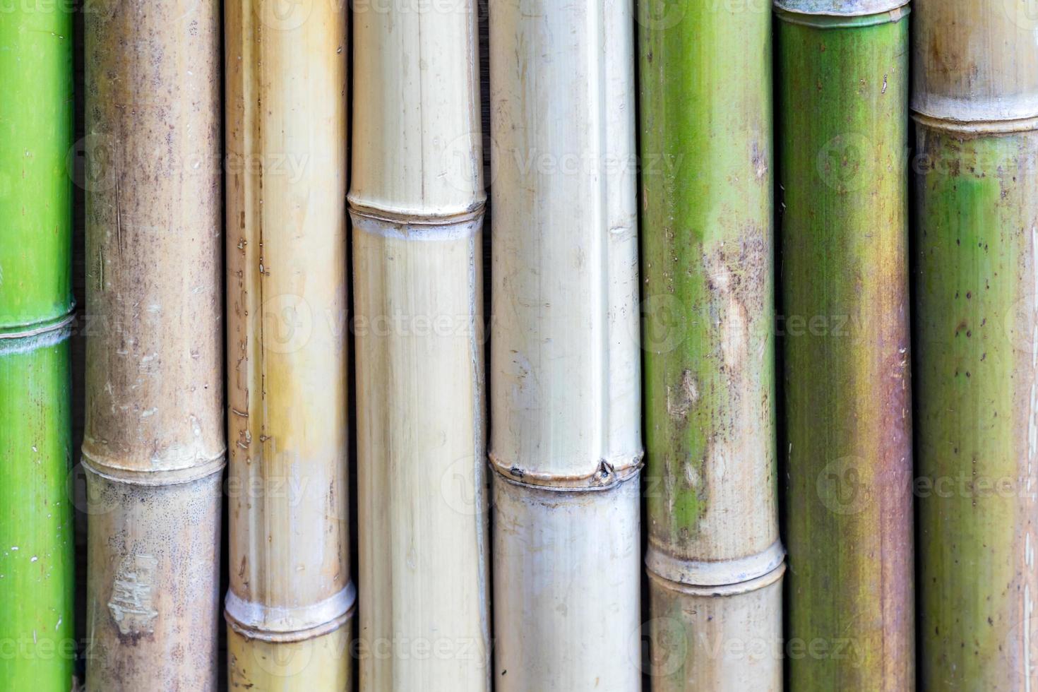 fundo de cerca de bambu. condição natural. foto