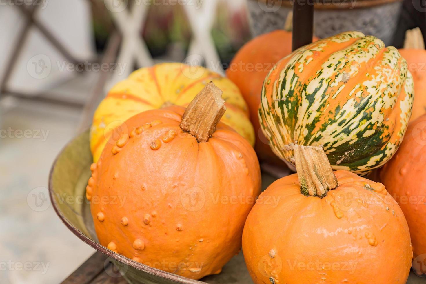 abundância de abóboras decorativas de cores diferentes verde, amarelo e laranja na cesta de metal. festival da colheita ou mercado de agricultores foto