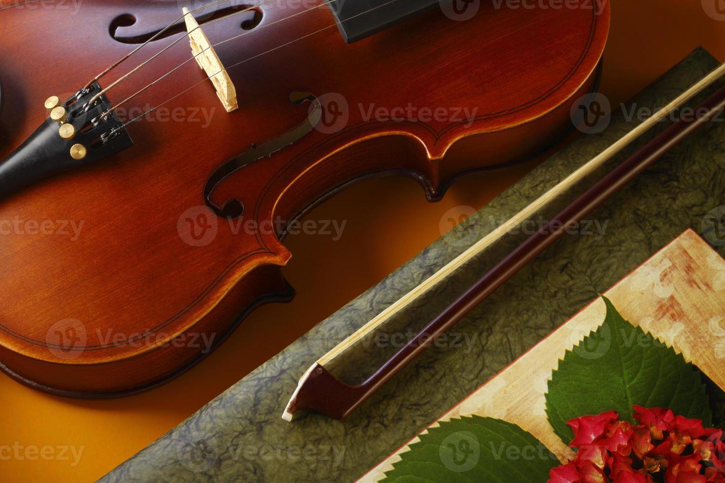 violino e arco foto