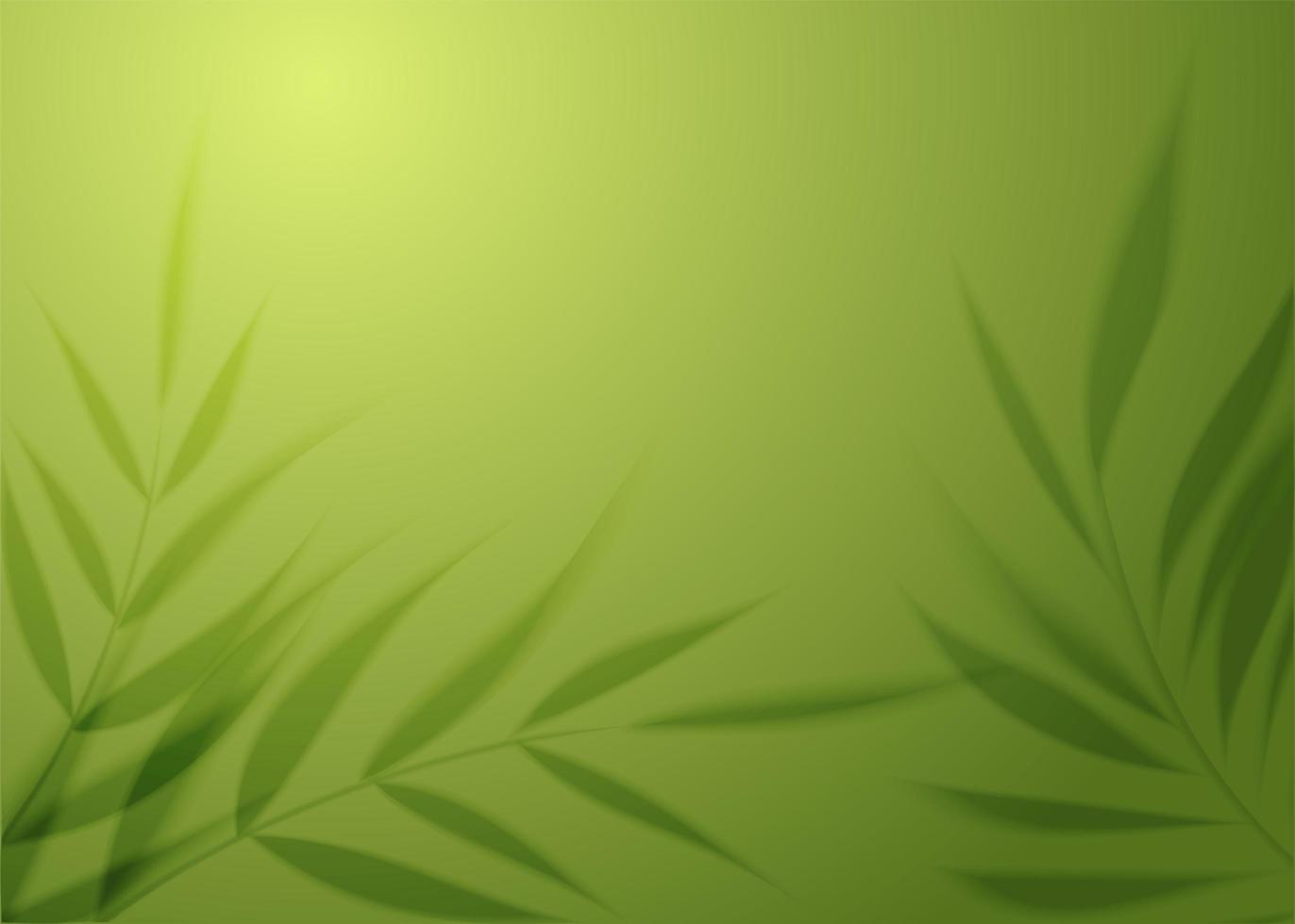 sombra transparente realista de uma folha de palmeira no fundo da parede verde. selva quente ou conceito de spa. planta tropical deixa sombra. maquete com desfoque de palmeira. ilustração vetorial foto