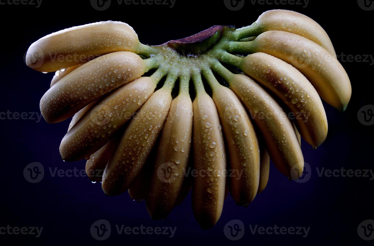 um belo grande cacho de bananas é isolado em um fundo preto. foto