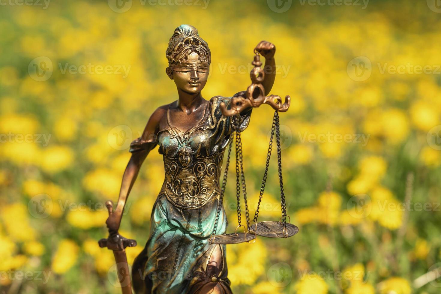 estátua de themis contra um gramado de dentes de leão. símbolo de justiça e lei, crime e punição. foto