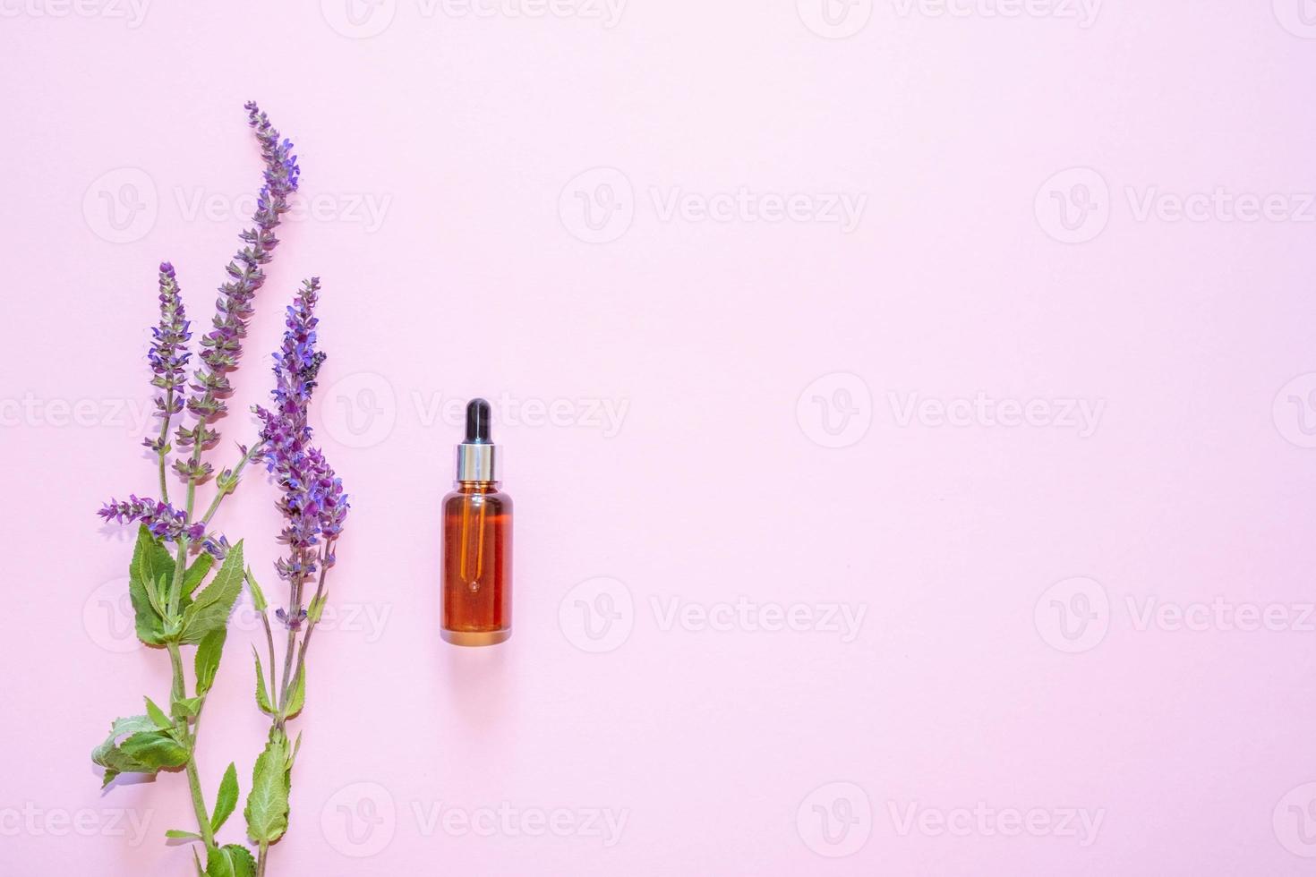 composição plana leiga com flores de lavanda e cosméticos naturais em um fundo rosa garrafa com pipeta foto