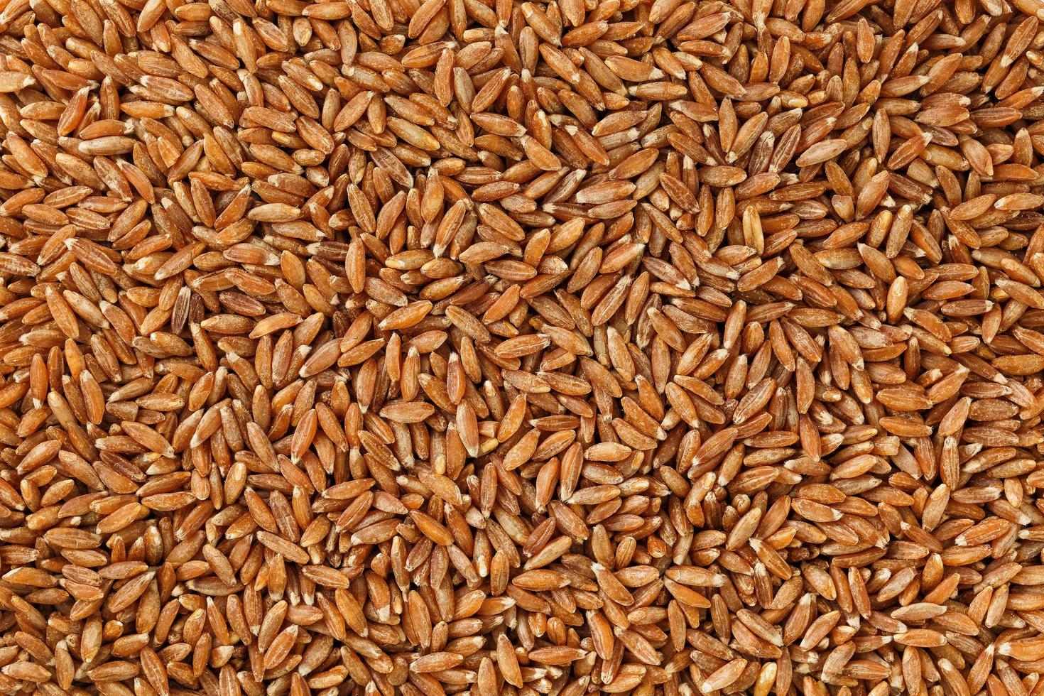closeup de arroz integral de jasmim. textura de grãos orgânicos foto