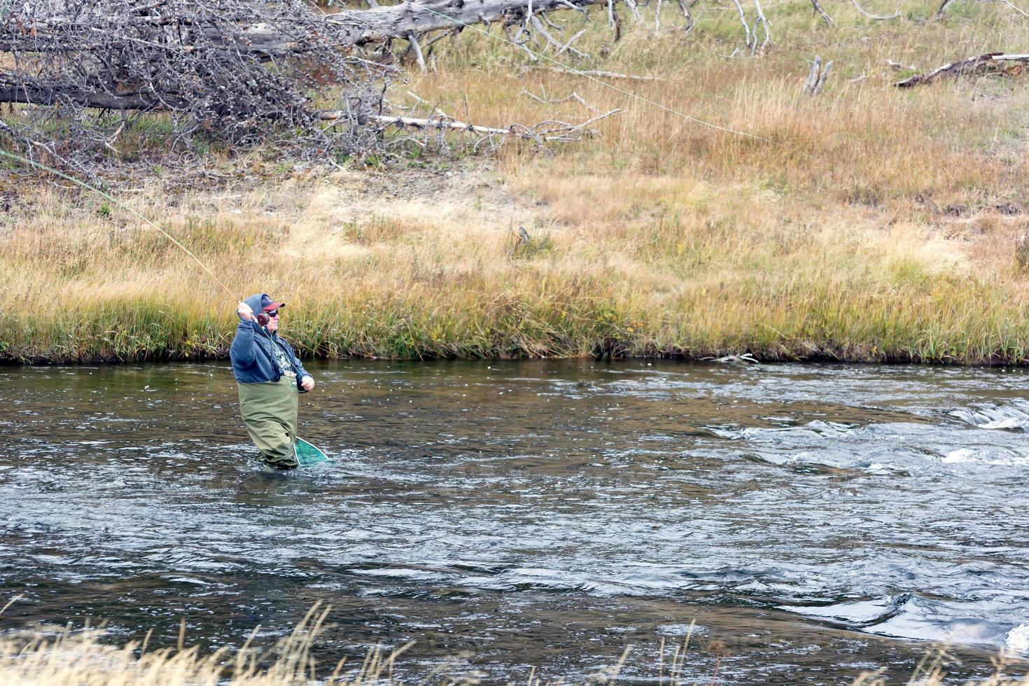 pesca com mosca em fairy creek no parque nacional de yellowstone foto