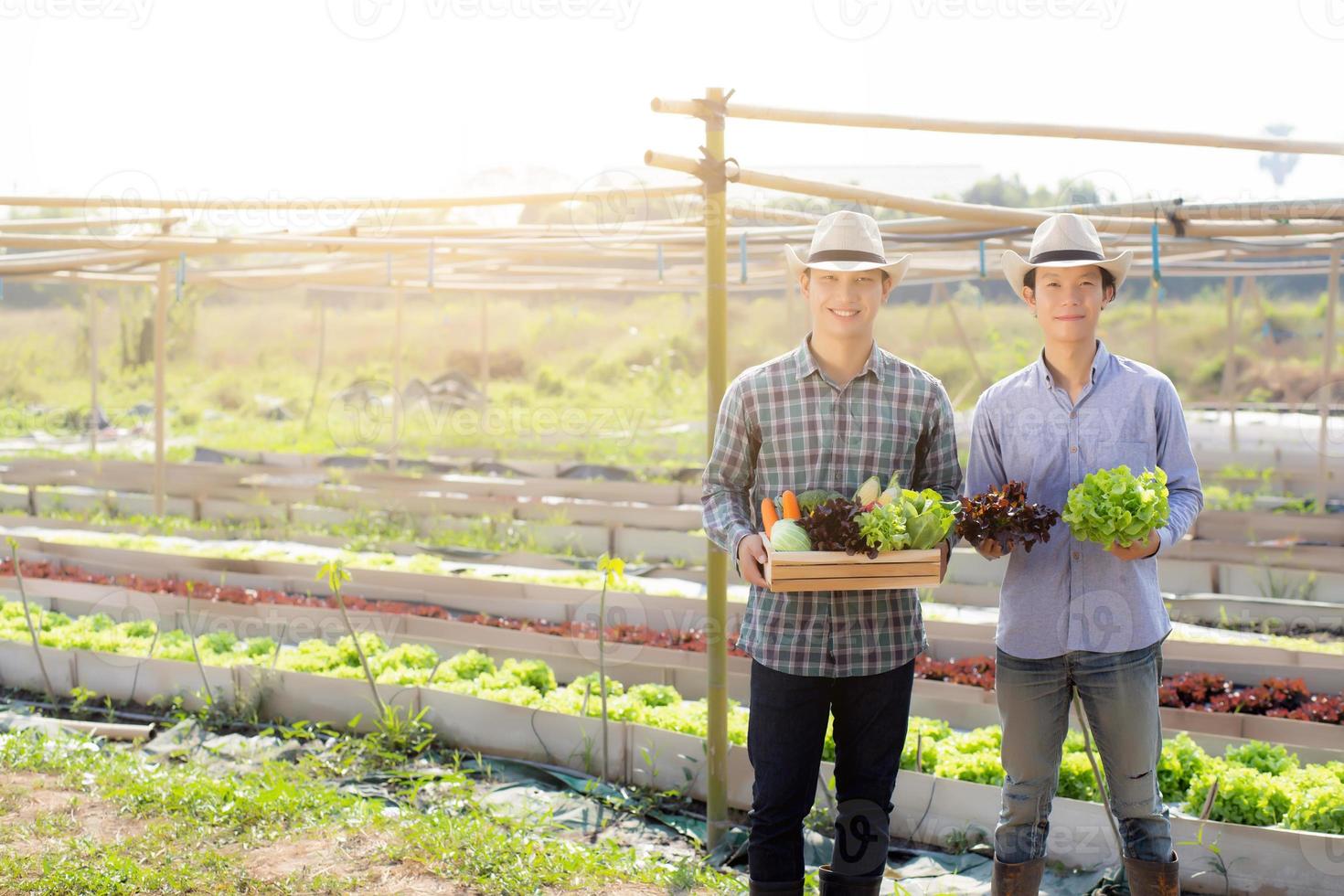 belo retrato jovem dois homens colheita e pegando horta orgânica fresca na cesta na fazenda hidropônica, agricultura para alimentação saudável e conceito de empresário de negócios. foto