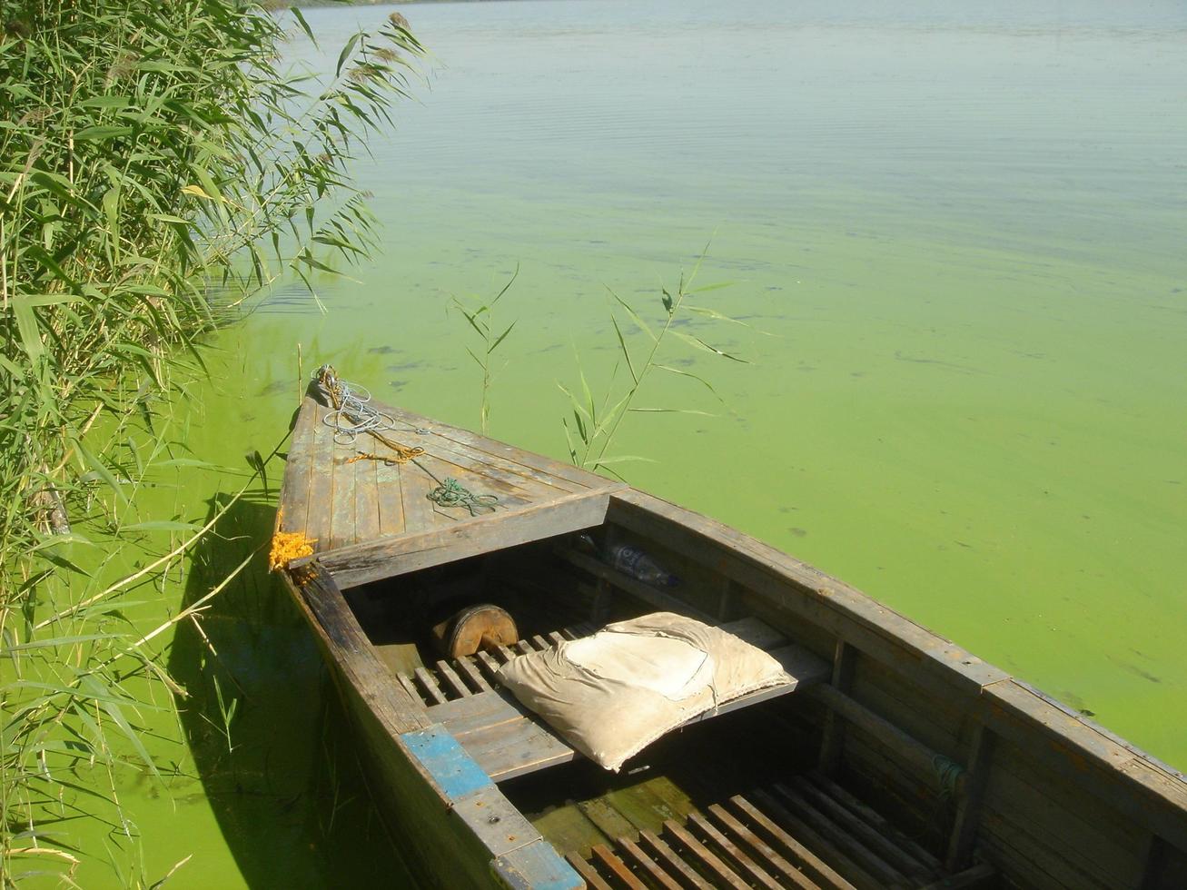 barco velho em um rio com água verde. foto