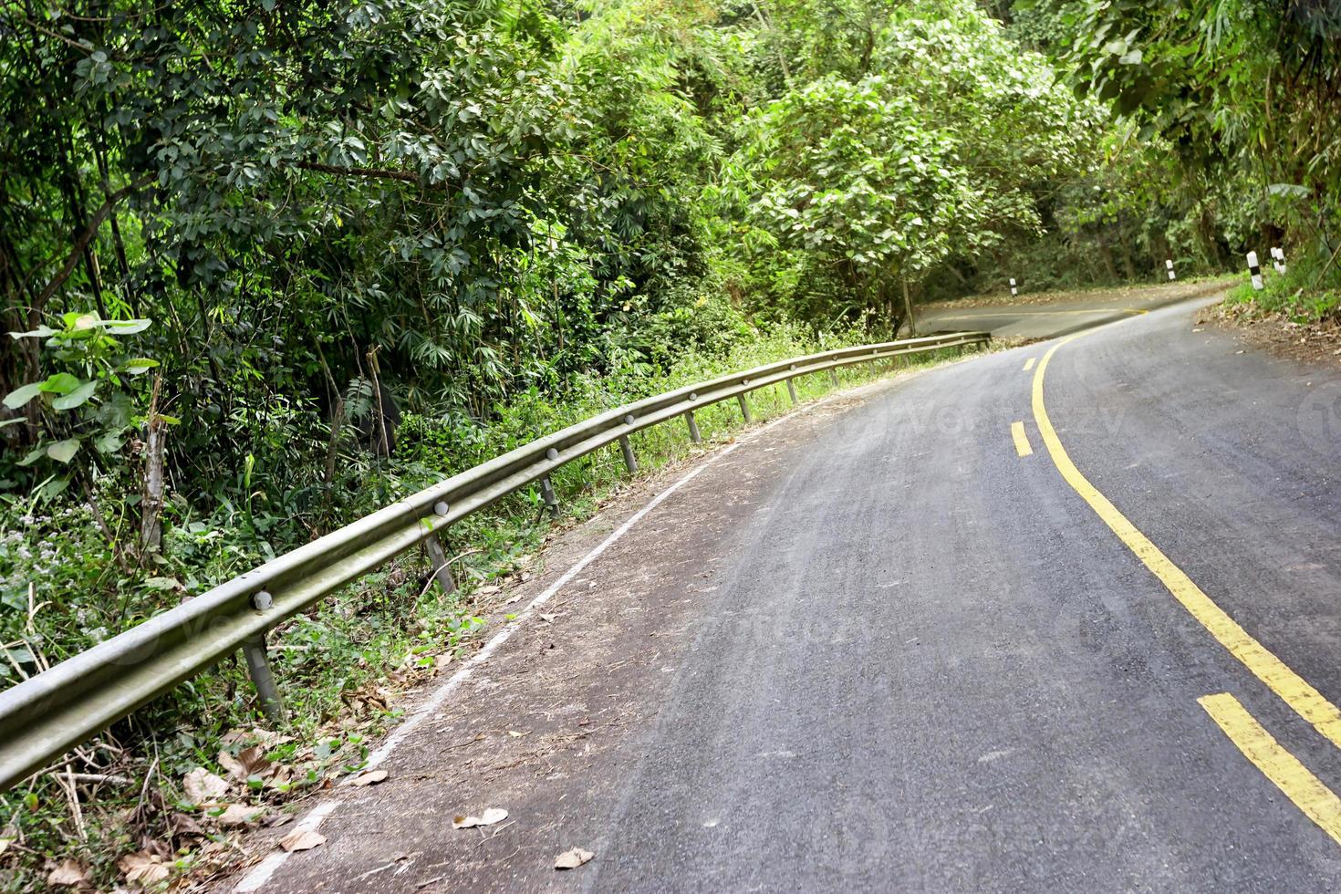 estrada na floresta com guarda de segurança foto