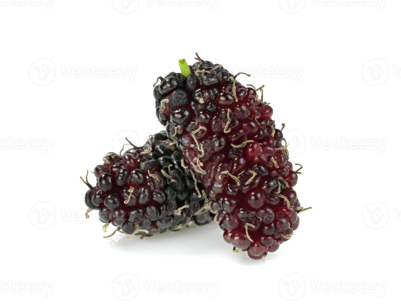 frutas de amoras isoladas em um fundo branco foto