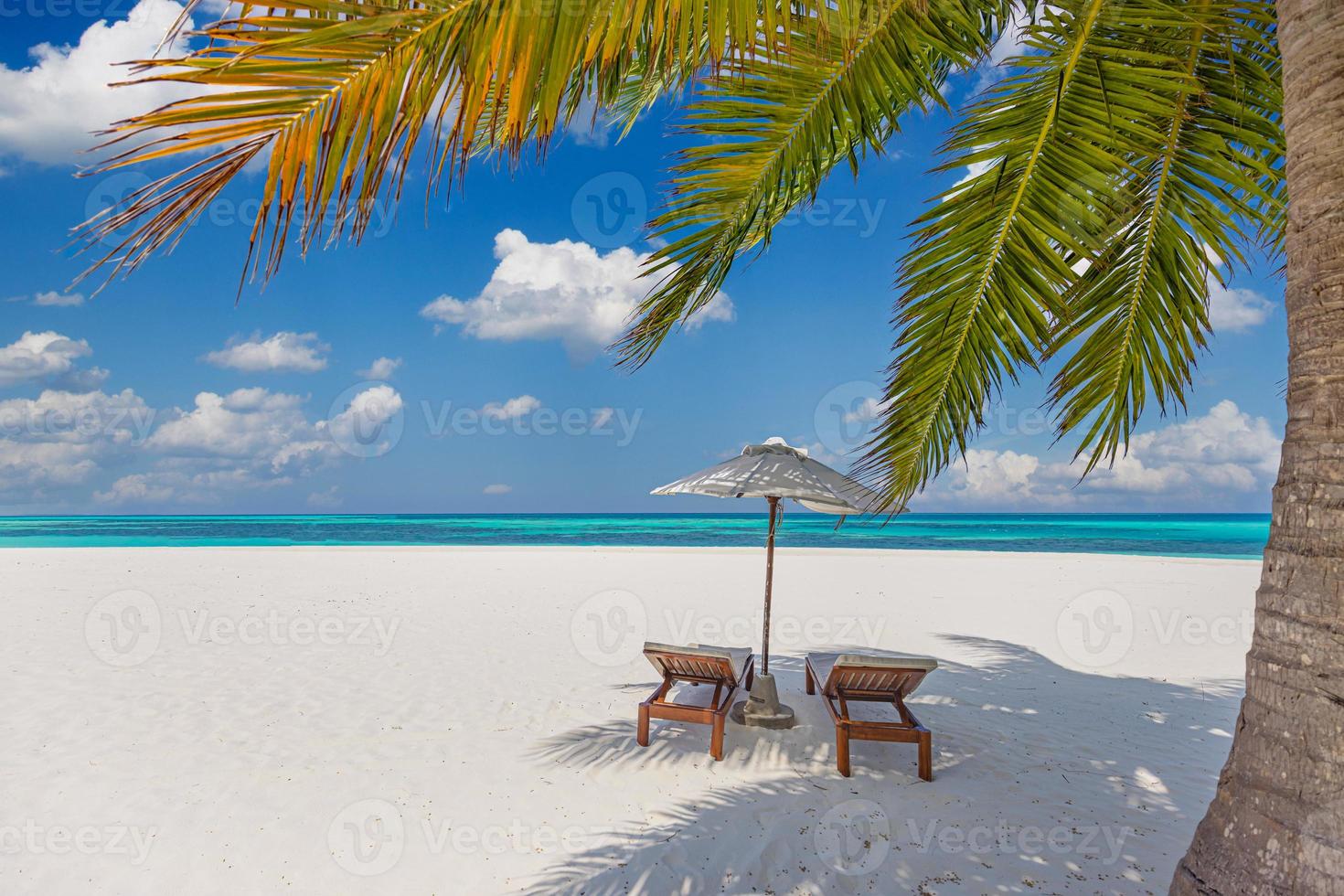 natureza de praia tropical como paisagem de verão com espreguiçadeiras e palmeiras e mar calmo para banner de praia. paisagem de viagens de luxo, belo destino de férias ou feriado. cena de praia foto